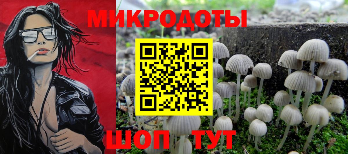 Галлюциногенные грибы Psilocybine cubensis  Вход с VPN  Котлас 