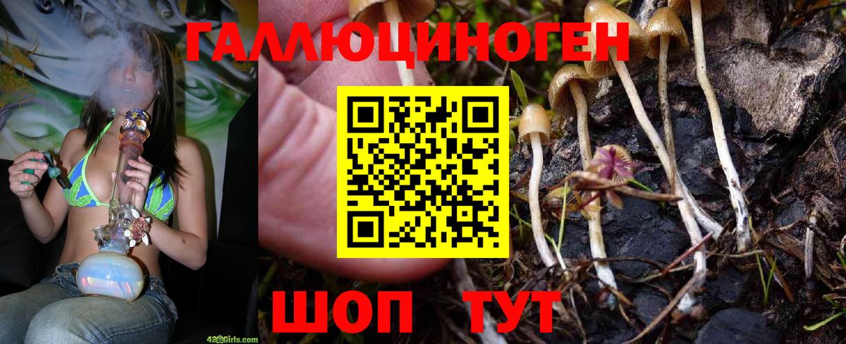 Галлюциногенные грибы мухоморы Котлас